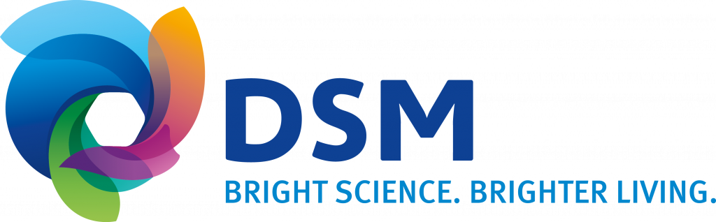 dsm-logo-1024x318